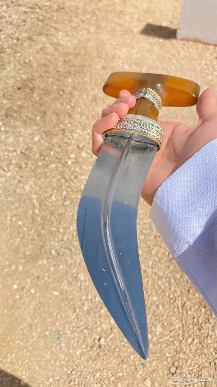 جنبية 7