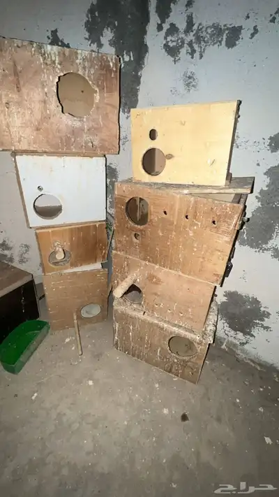 14 بياضه واكثر وقفص عل السوم 0