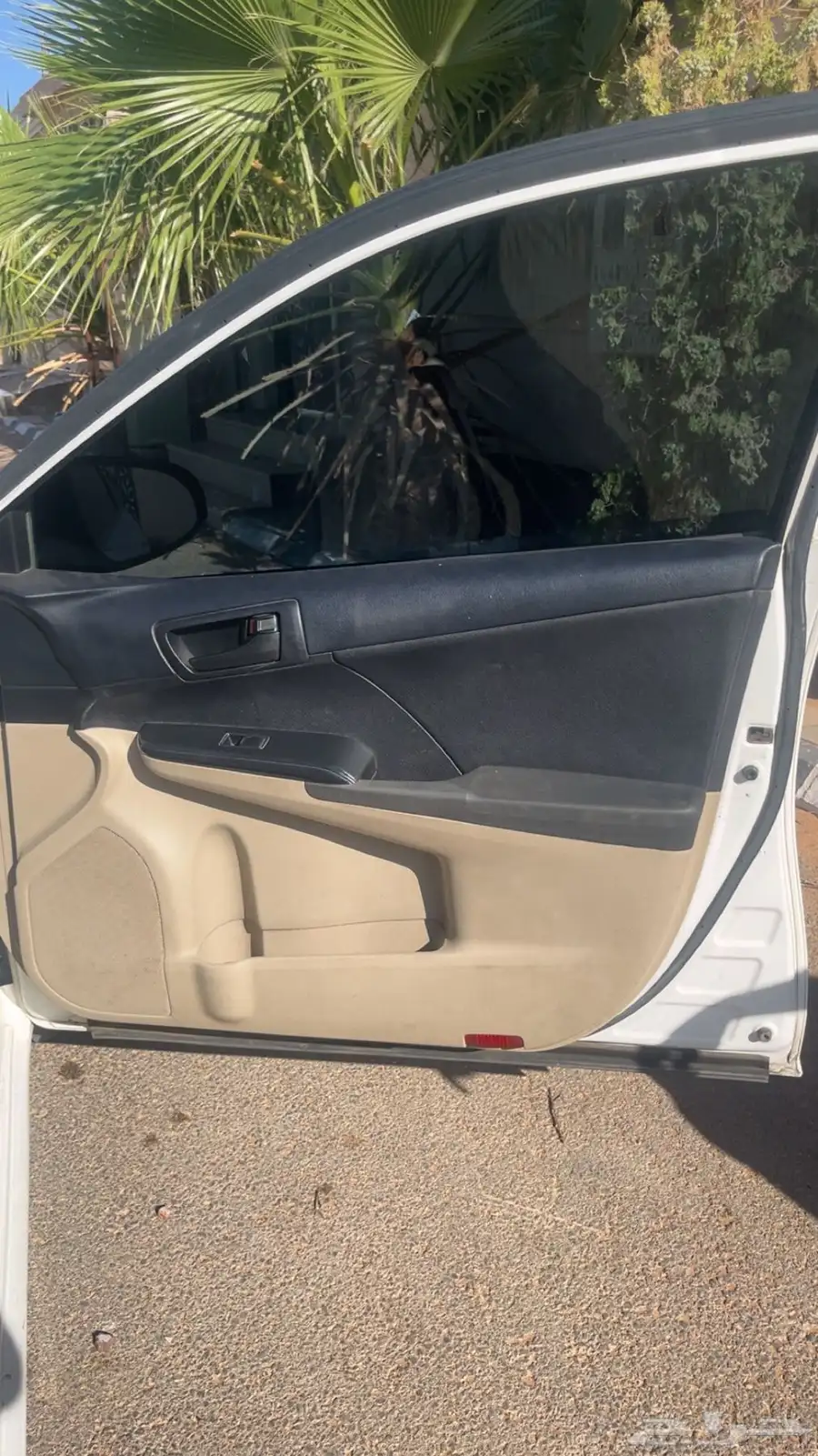 طريف 28