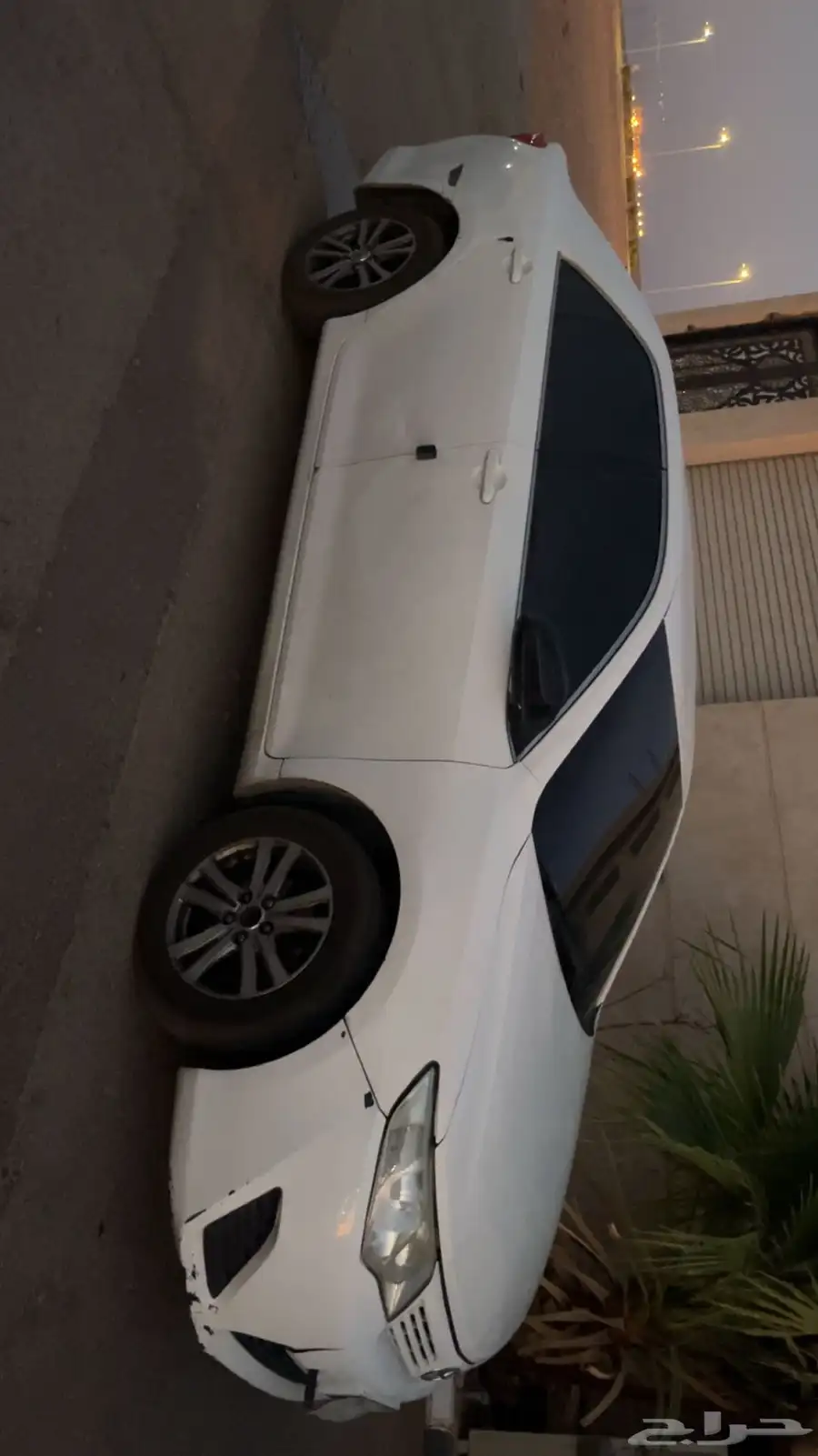 طريف 1