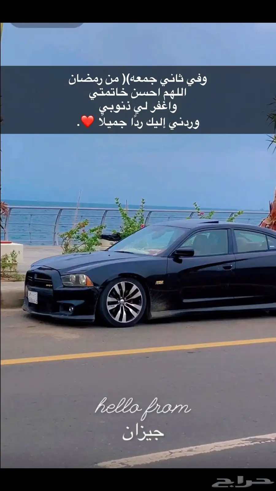 دوج. 2013 4