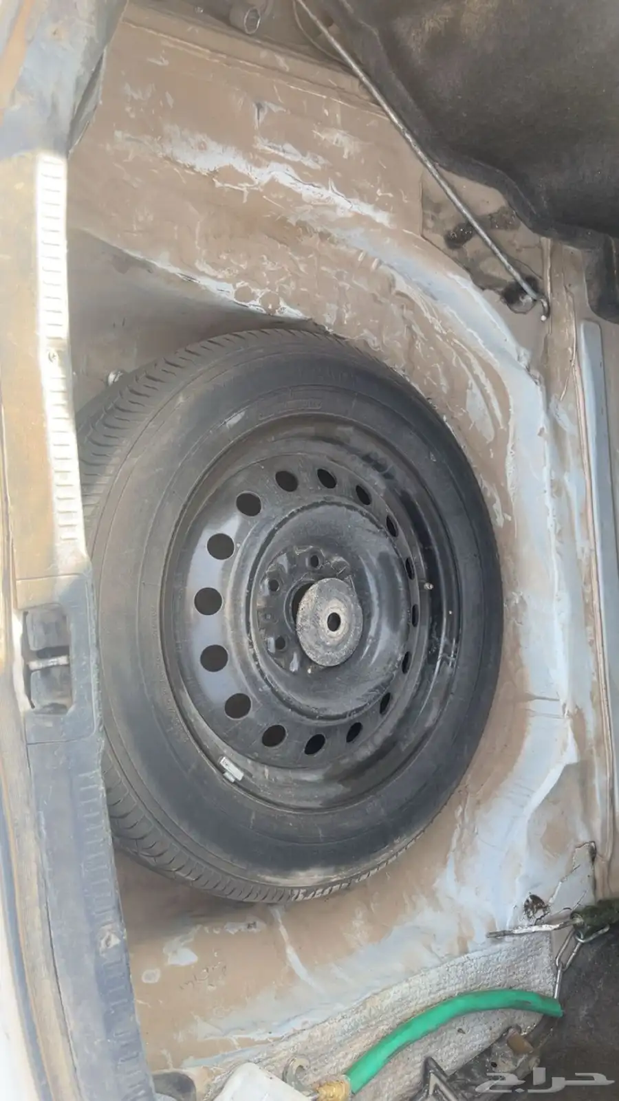 طريف 34