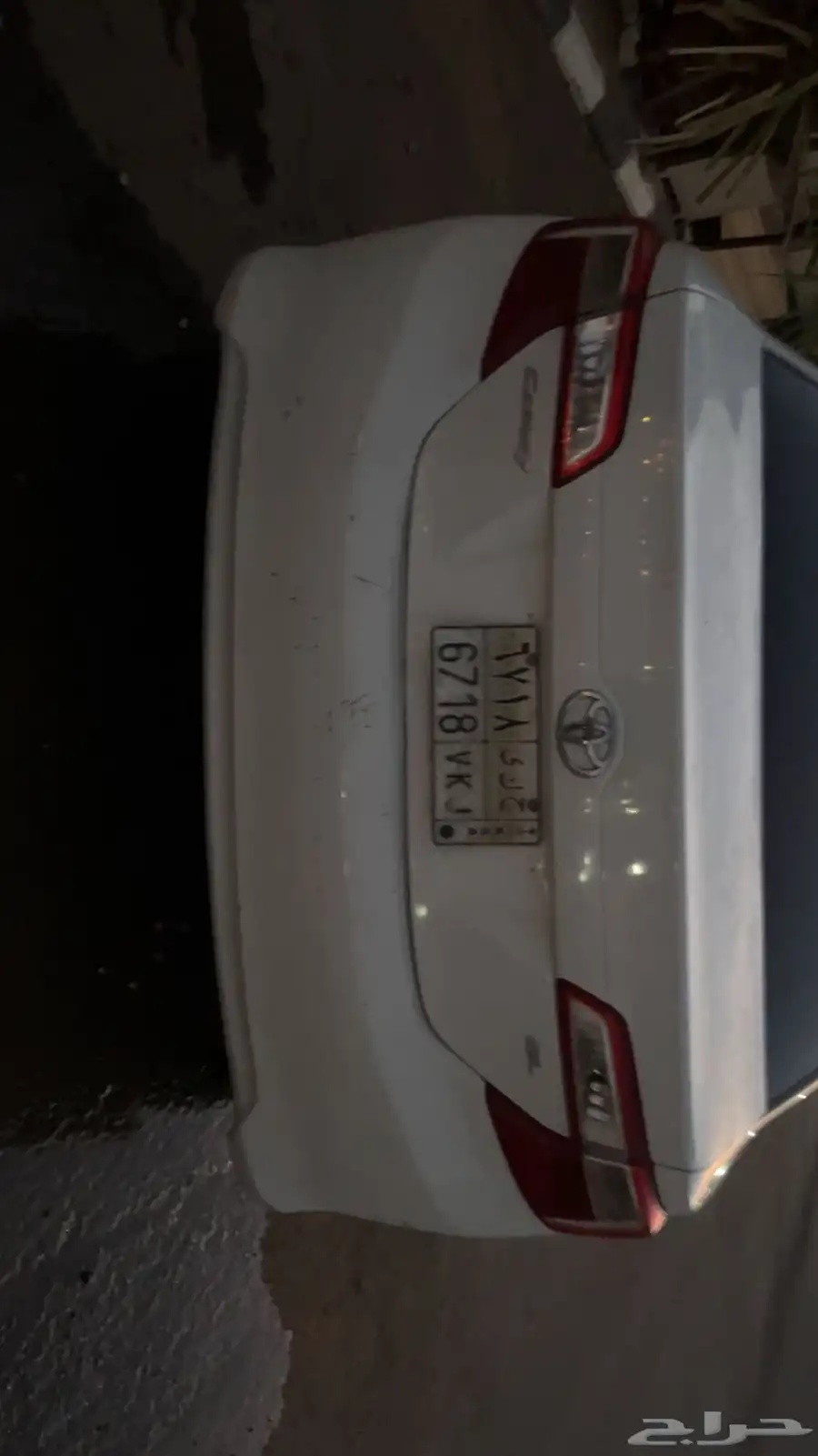 طريف 4