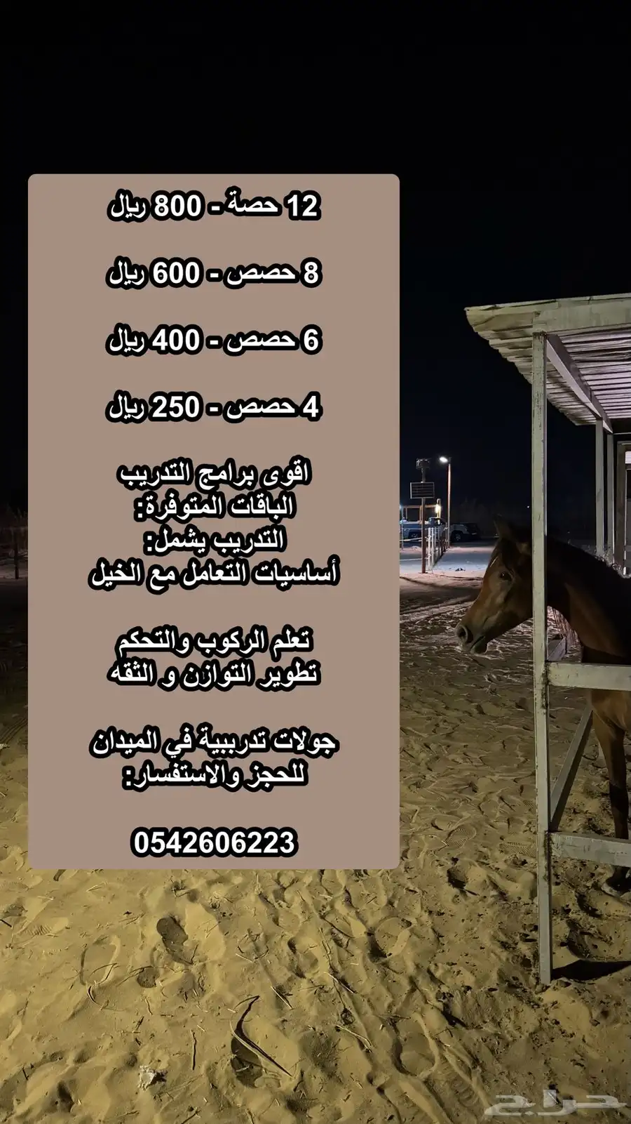 تدريب ركوب خيل 2