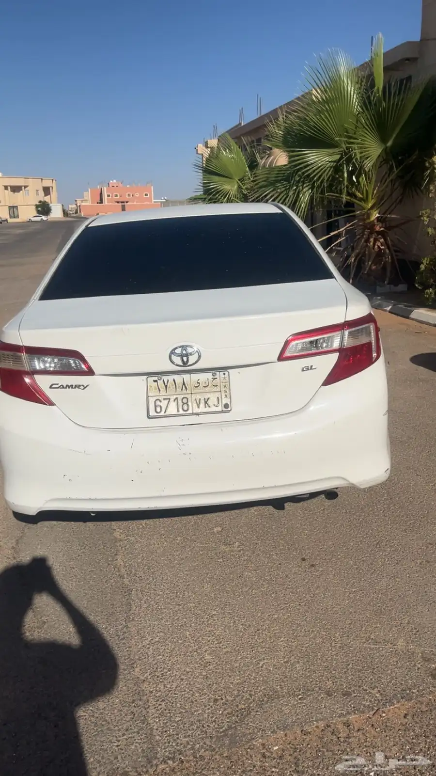 طريف 36
