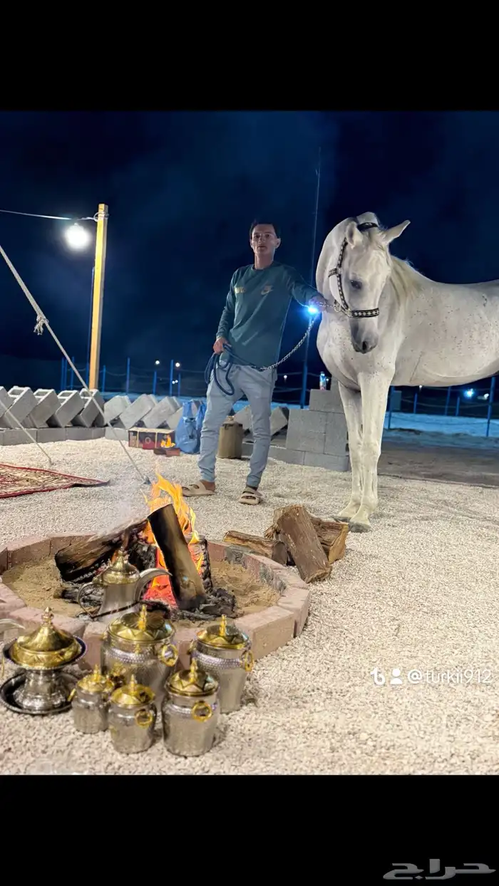 غرف إيواء للخيل 15