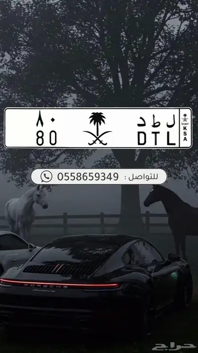 لوحات مميزة بأسعار مميزة 3