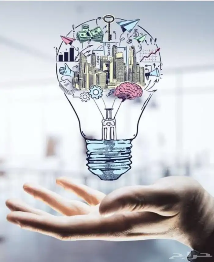 ابتكار و توليد مشروعات للقطاع غير الربحي 0