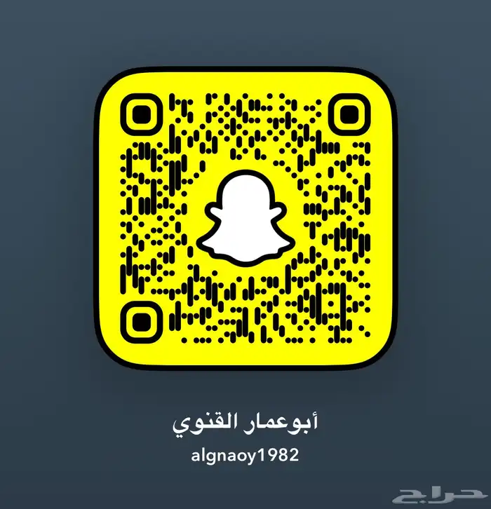 معزا دهم جذعات عدد 12 ( تم البيع ) 13