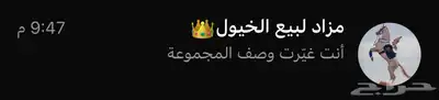 حياكم الله في مزاد لبيع الخيول 0
