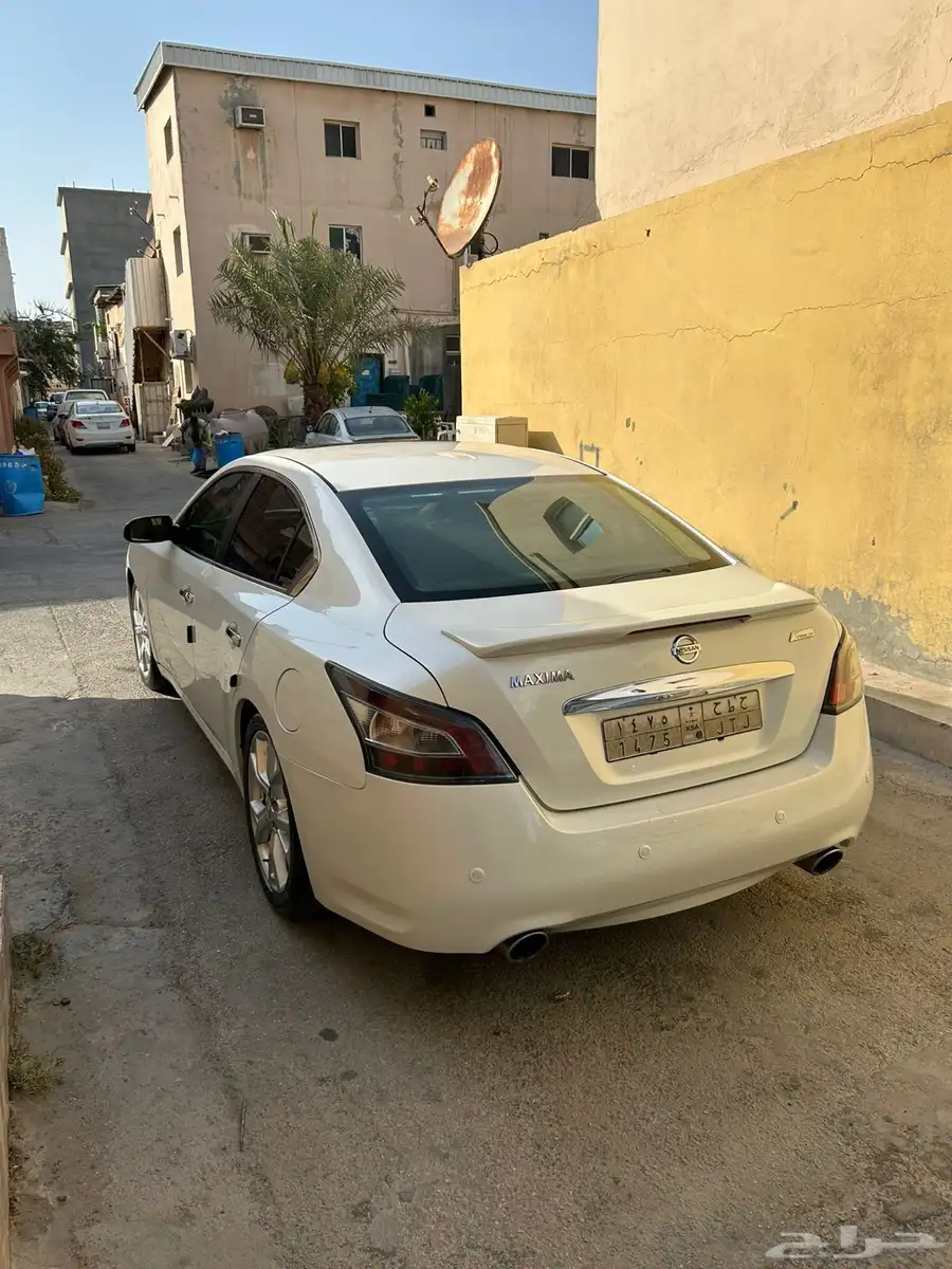 مكسيما2014 1