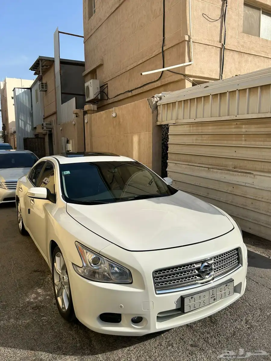 مكسيما2014 5