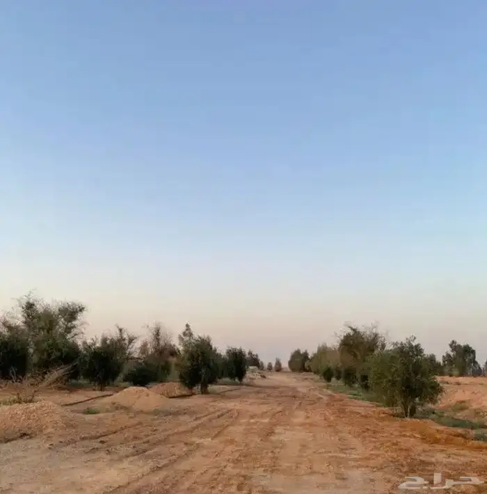 مطلوب مزرعه للاجار 0