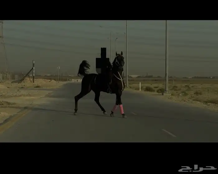 حصان واهو مكس 5