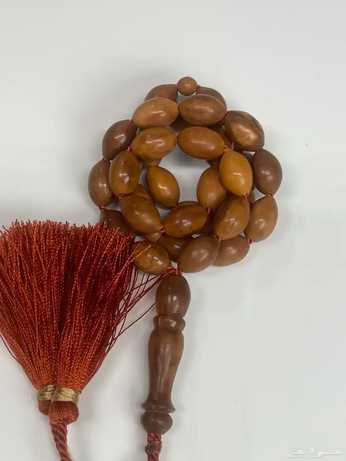 المدينة المنورة 10