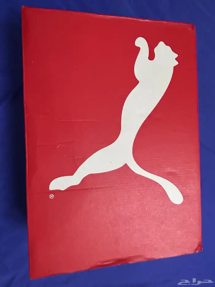 حذاء بوما puma الأصلي جديد 4