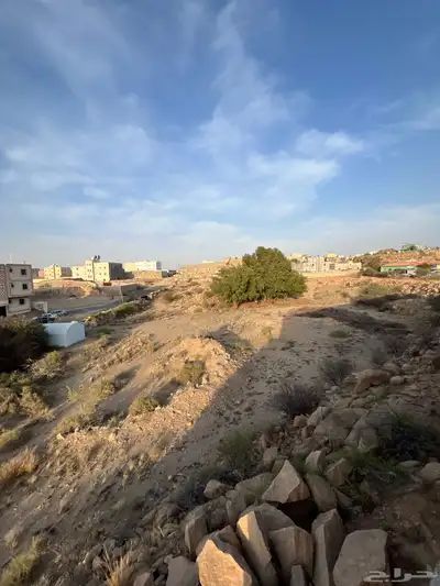 ارض سكنية للاستثمار او الإيجار الطائف القلت 0