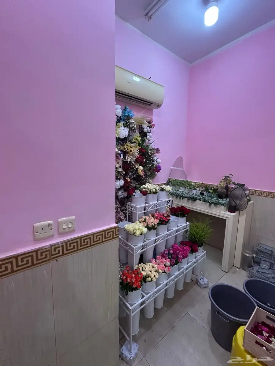 محل للتقبيل 4