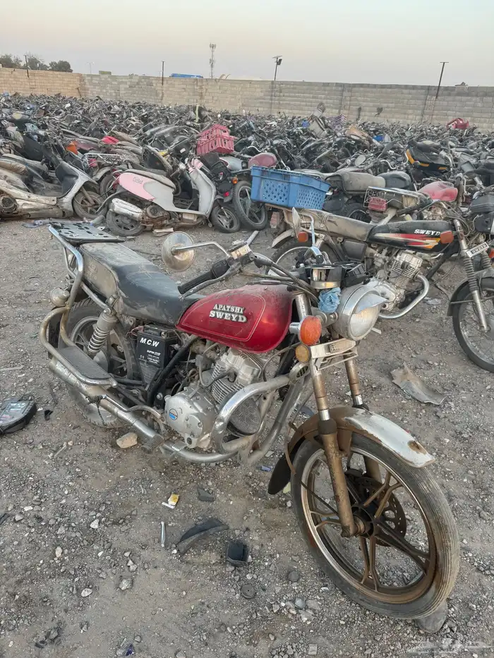 دبابات عدد كبير بالجمله وتفريد 4