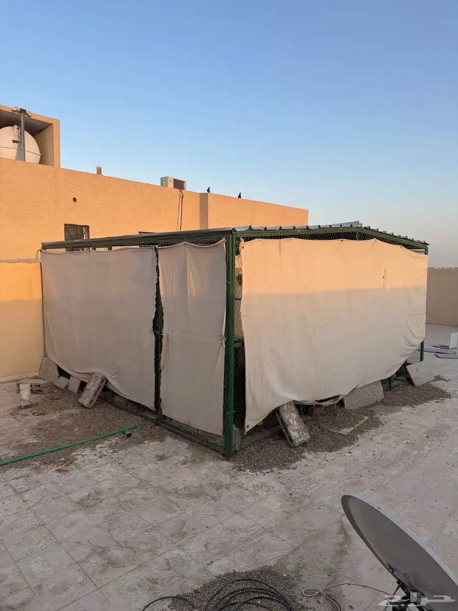 سمان وكذلك فقاسه 7