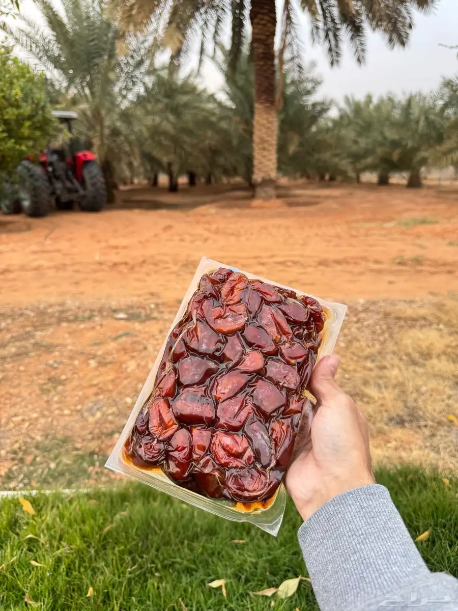 تمر خلاص درجة أولى 1
