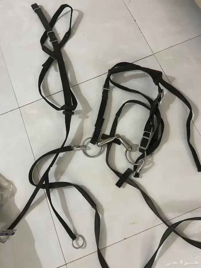 سرج حصان كامل ولجام وسديريه جديده م ستخدمت غير اللجام فقط 2
