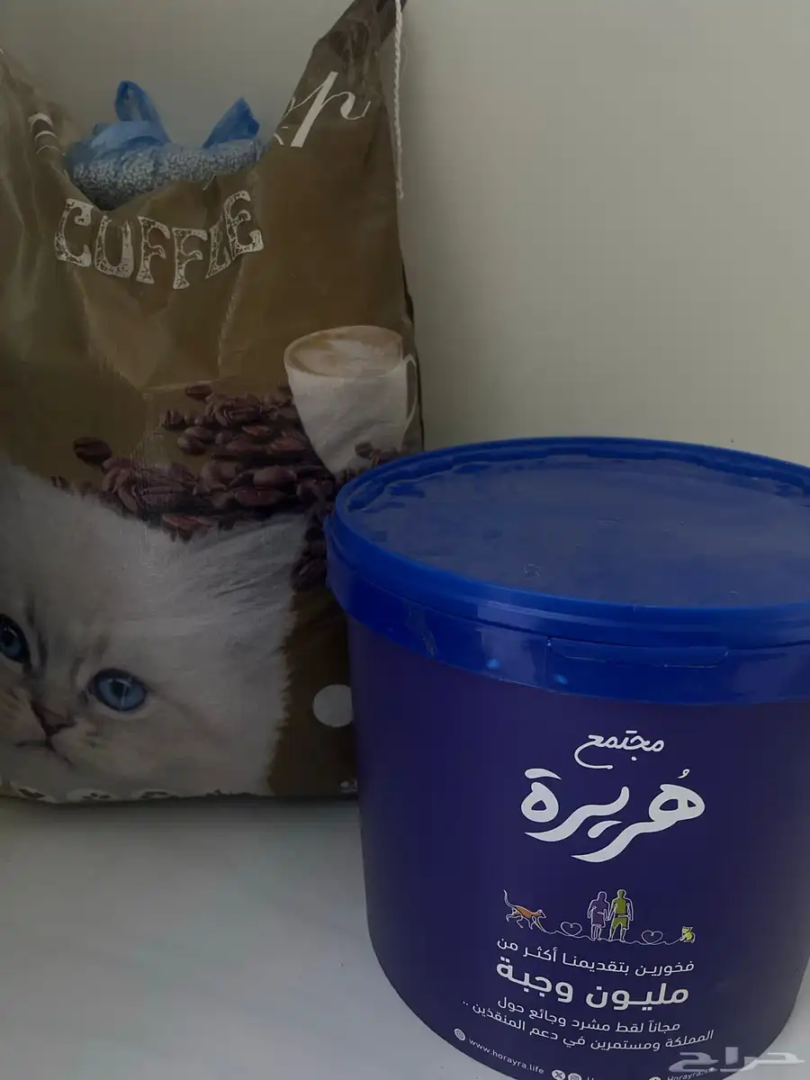 قطط 15