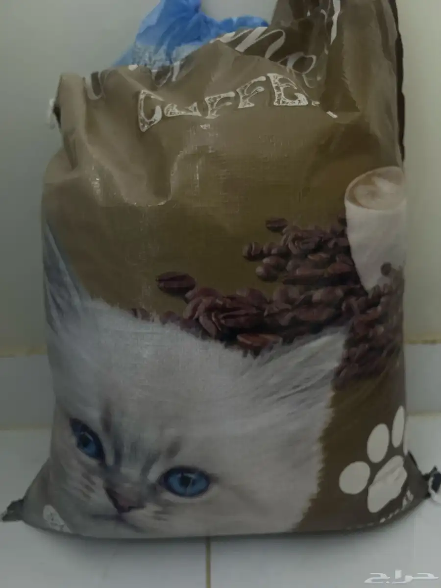 قطط 11