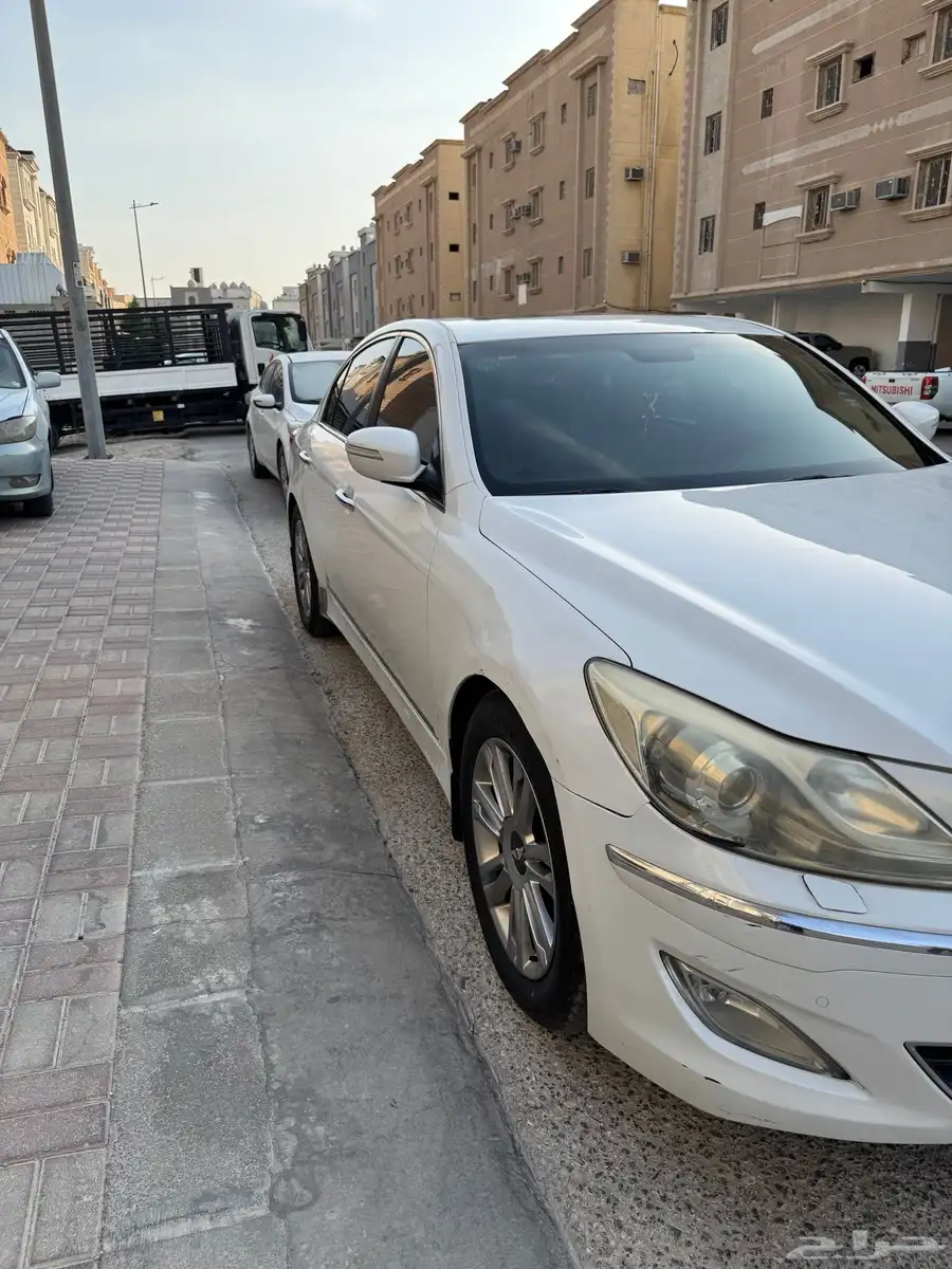 جنسس2013 8
