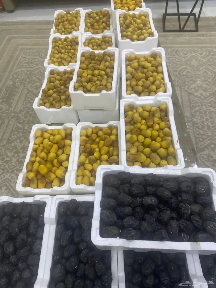 روثانه طازجه 16