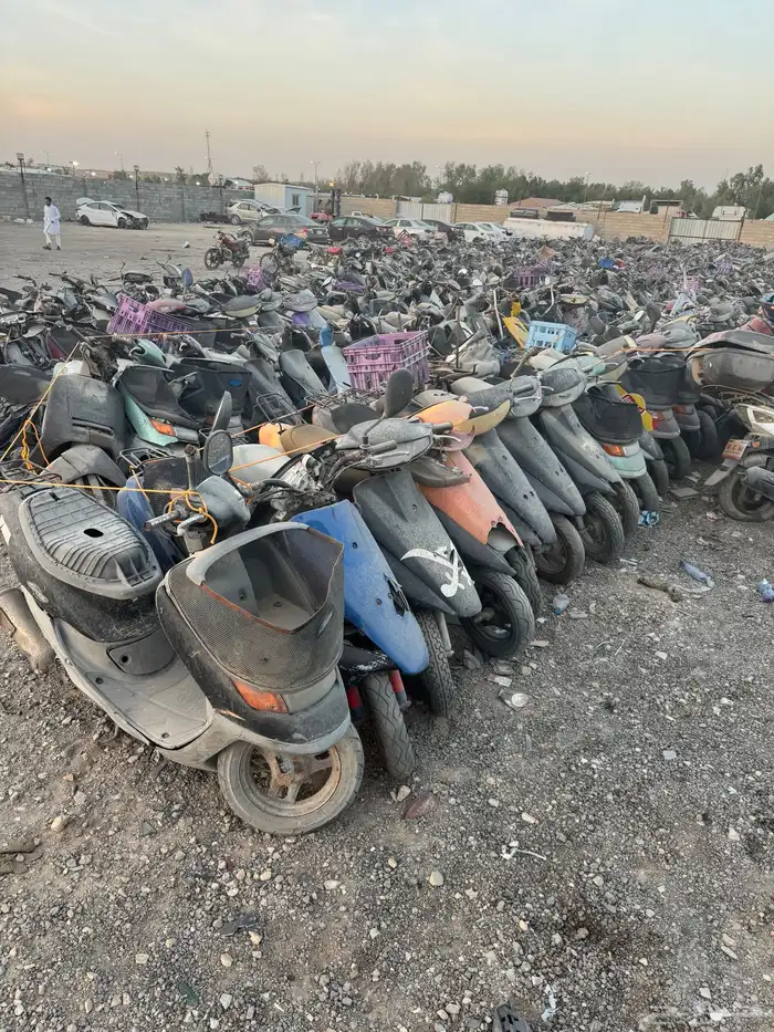 دبابات عدد كبير بالجمله وتفريد 2