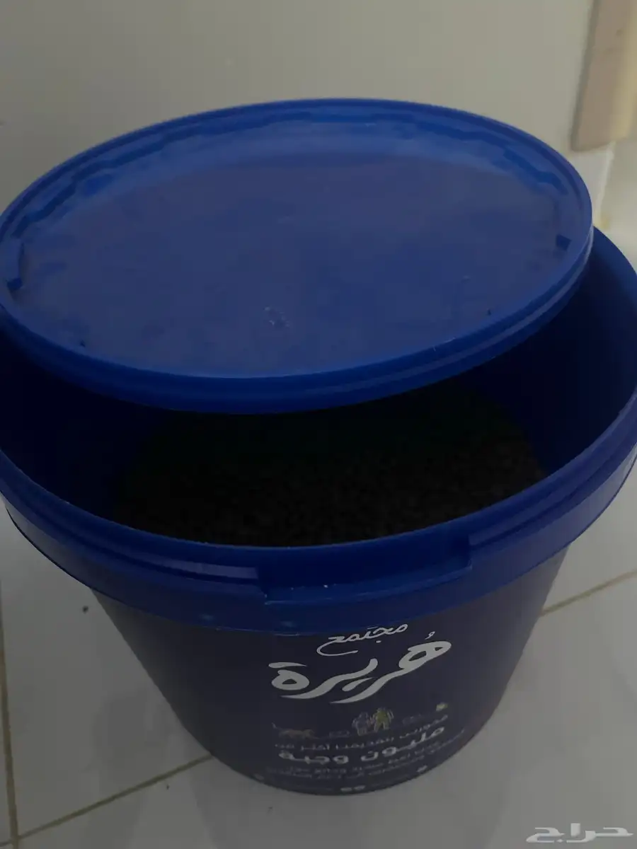 قطط 14