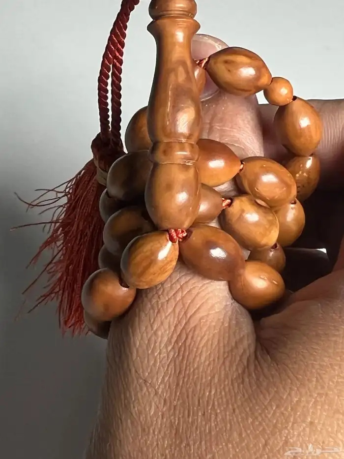المدينة المنورة 11