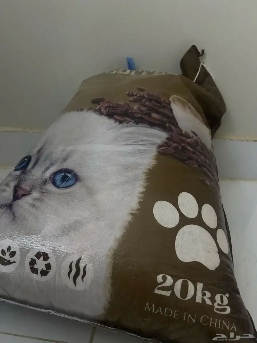 قطط 12