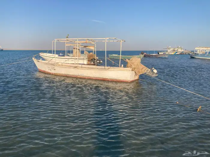 قارب للبيع 3