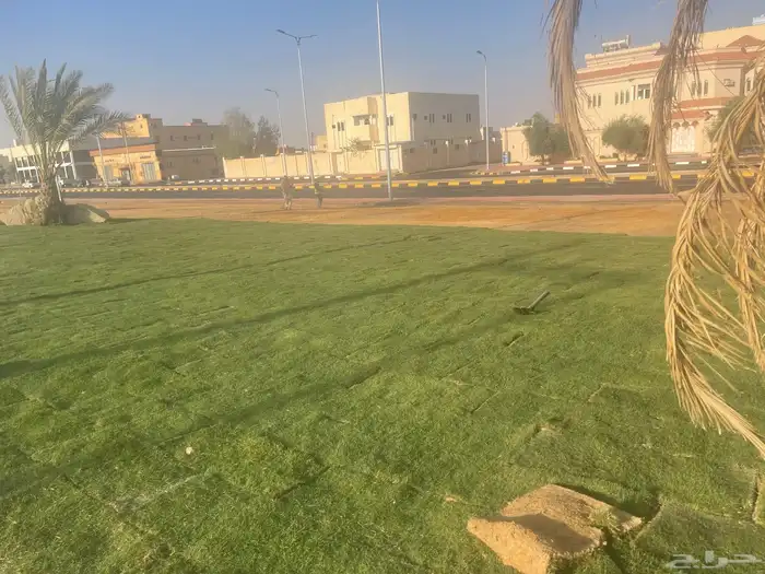 نجيل طببعي سي 2000 امريكي وفرنسي وياباني 5