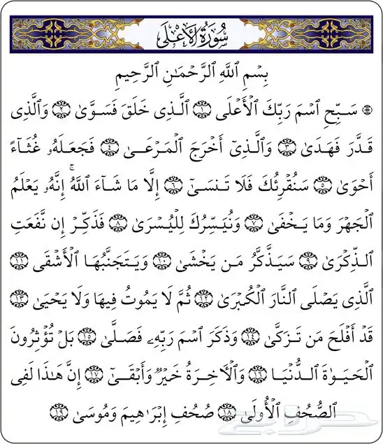 ابغى لي تيس وعناق او عناقين واعطيه اقساط طيبه جدا شهريا 0