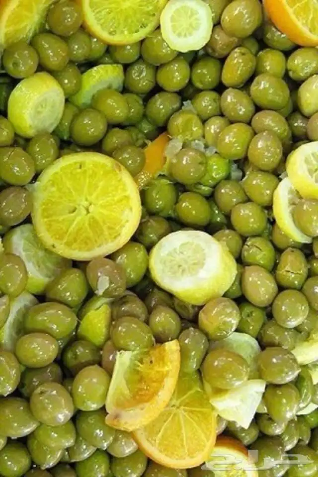 زيت زيتون الفلسطيني بعل عالأمطار شحن لجميع مناطق المملكه 5