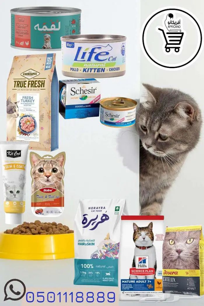 غابة افريقيا للحيوانات الاليفة 0