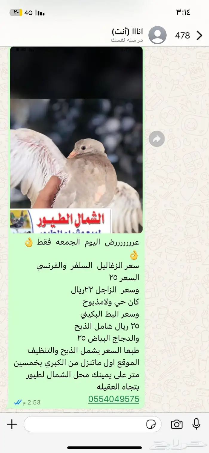عرررض على الزغاليل والبط 0