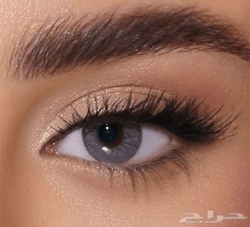 عدسات زينه يوميه 1