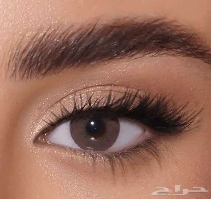 عدسات زينه يوميه 2