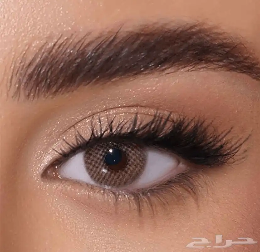 عدسات زينه يوميه 0