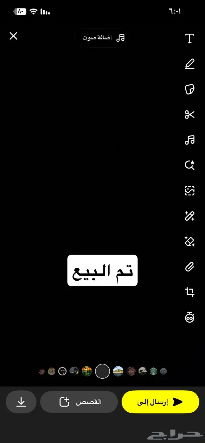 ثلاثه فروخ فراشه للبيع 1