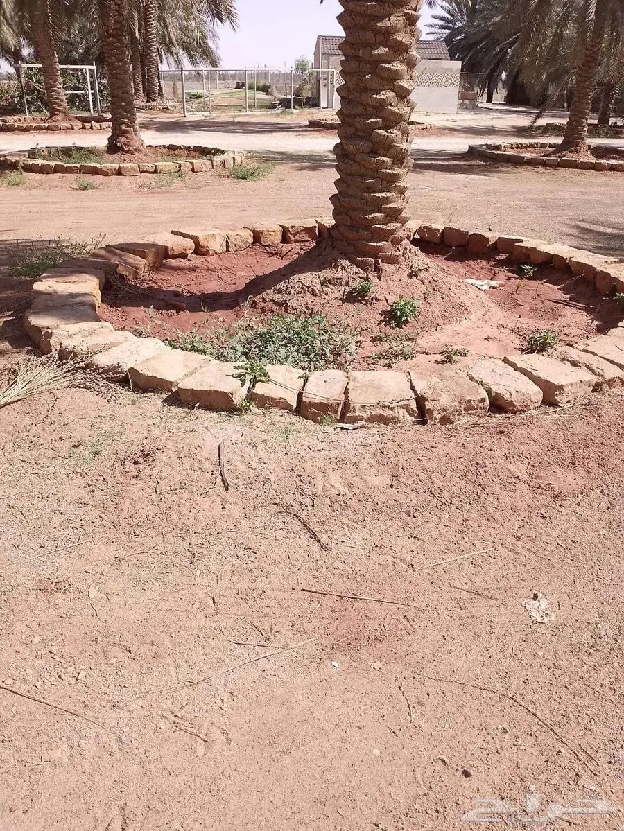مقاول عام 4
