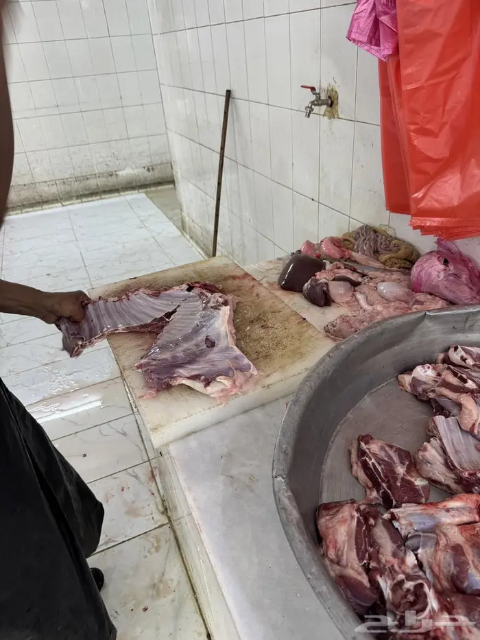 سواكن سمان فوق الوسط ب1050 2