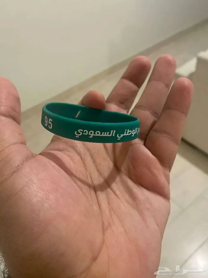 سوار سيليكون ( اليوم الوطني السعودي 95 ) لعام 2025 1