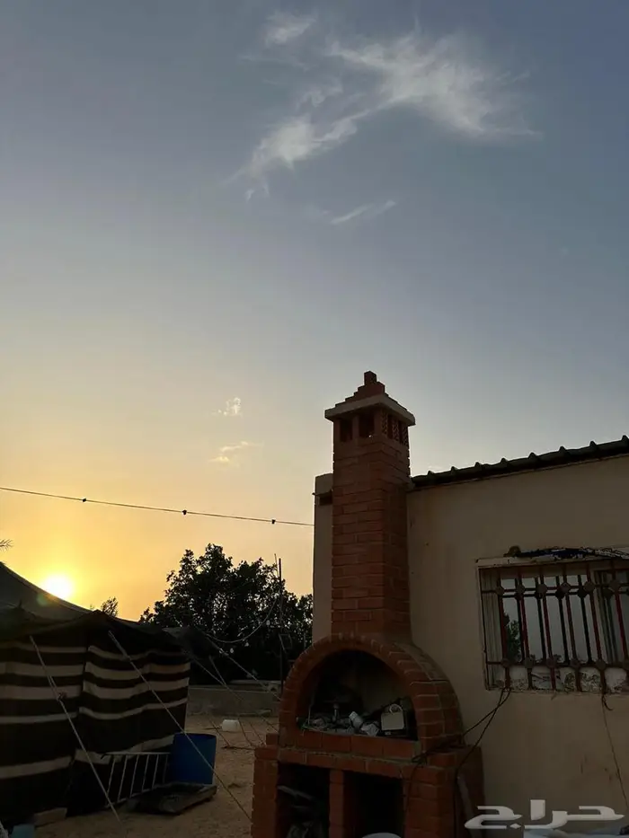 للبيع مزرعة بالجراد 4