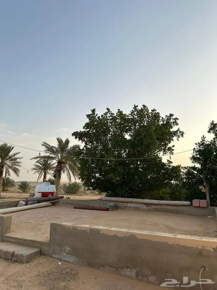 للبيع مزرعة بالجراد 0