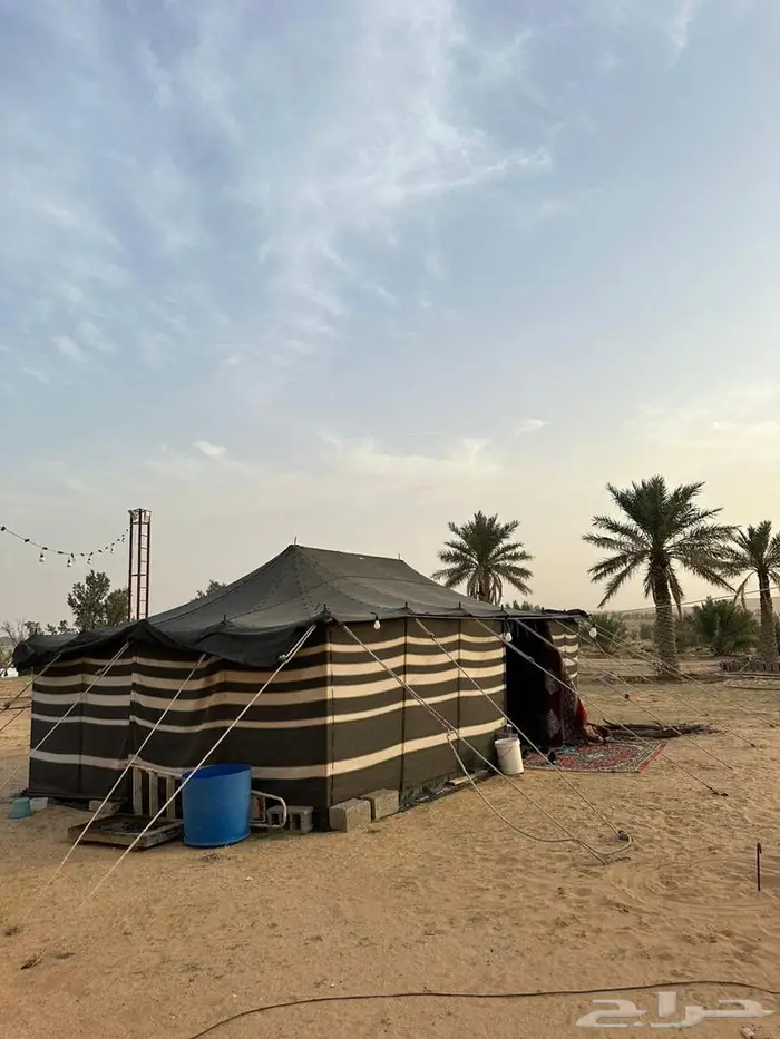 للبيع مزرعة بالجراد 3